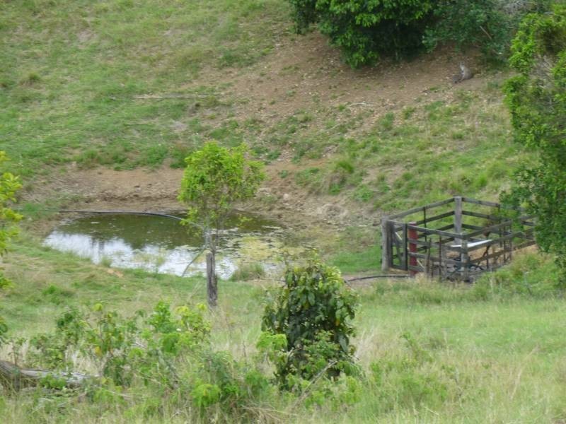 750 GOOD NIGHT SCRUB ROAD, Good Night QLD 4671