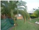 10 LISTER STREET, Apple Tree Creek QLD 4660