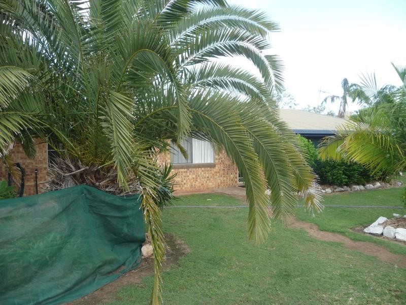 10 LISTER STREET, Apple Tree Creek QLD 4660
