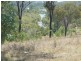 410 OLD BOOYAL ROAD, Dallarnil QLD 4621