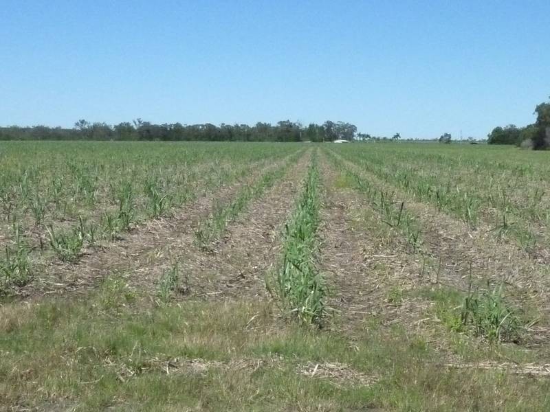 400 VOSS ROAD, North Gregory QLD 4660