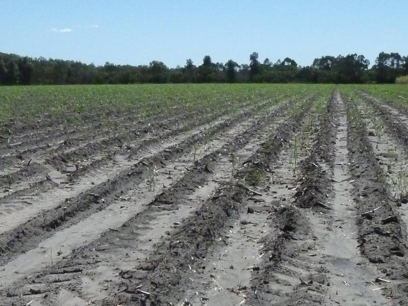 400 VOSS ROAD, North Gregory QLD 4660