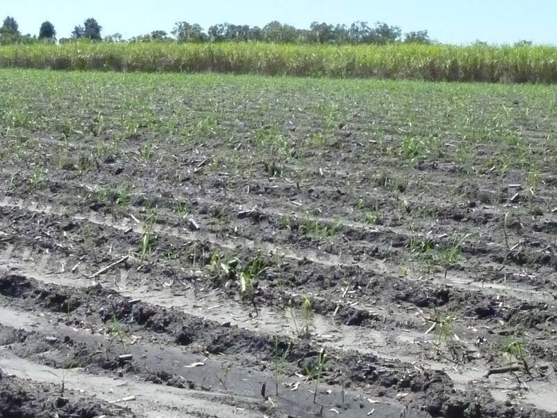 400 VOSS ROAD, North Gregory QLD 4660