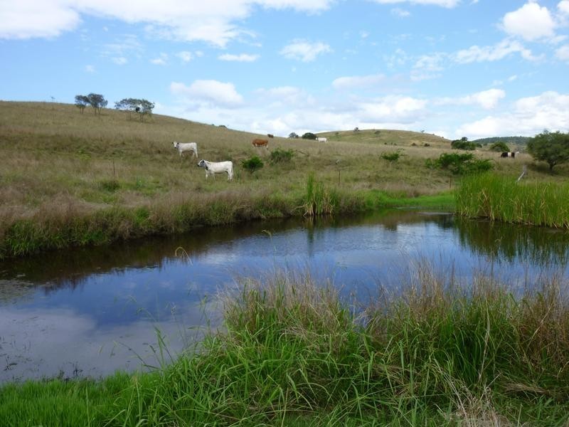 49 Griffins Road, Degilbo QLD 4621