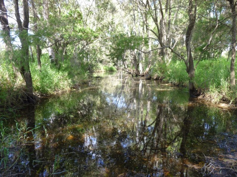 Lot 42,  EMU CREEK ROAD, Dallarnil QLD 4621