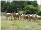 Lot 42,  EMU CREEK ROAD, Dallarnil QLD 4621