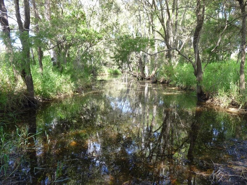 Lot 58 & 42, 281 EMU CREEK ROAD, Dallarnil QLD 4621