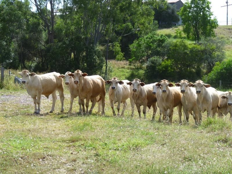 Lot 58 & 42, 281 EMU CREEK ROAD, Dallarnil QLD 4621