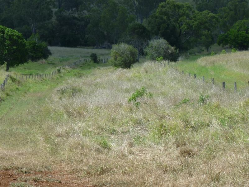 Lot 58 & 42, 281 EMU CREEK ROAD, Dallarnil QLD 4621