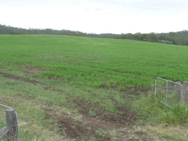 491 DELAN ROAD, Wallaville QLD 4671