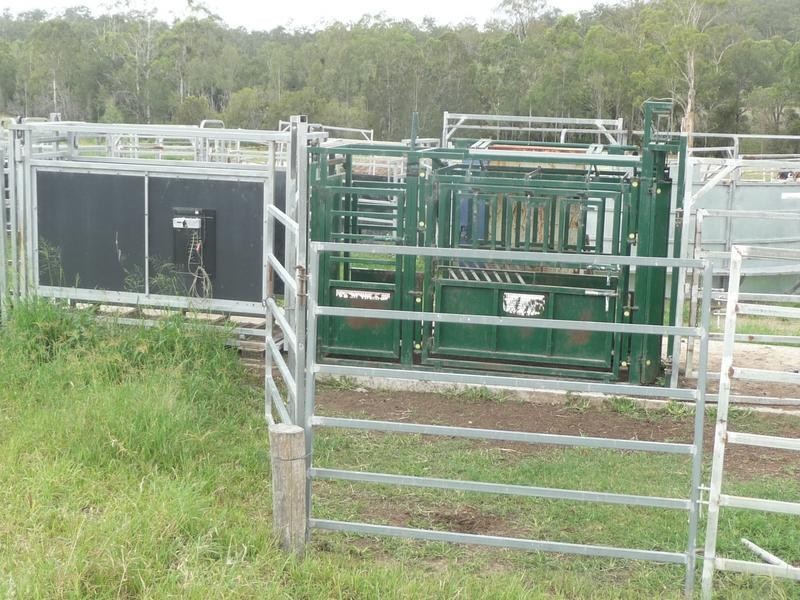 491 DELAN ROAD, Wallaville QLD 4671