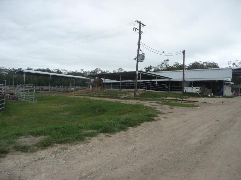 491 DELAN ROAD, Wallaville QLD 4671