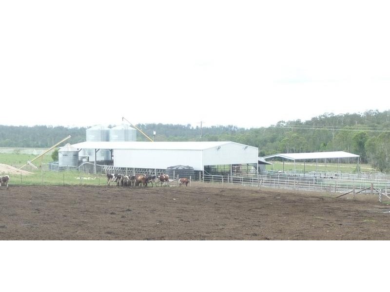 491 DELAN ROAD, Wallaville QLD 4671