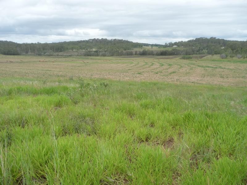 491 DELAN ROAD, Wallaville QLD 4671