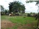96 South Isis Road, South Isis QLD 4660