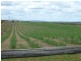 96 South Isis Road, South Isis QLD 4660