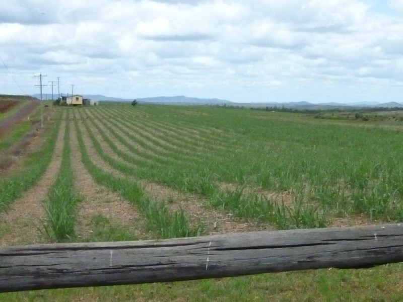 96 South Isis Road, South Isis QLD 4660