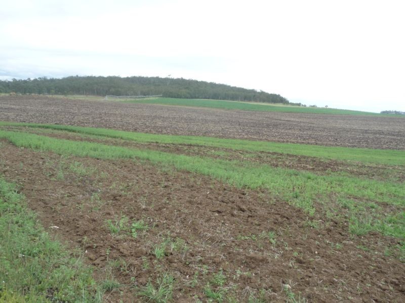 Lot 1 & 2,  Aplins Road, Wallaville QLD 4671