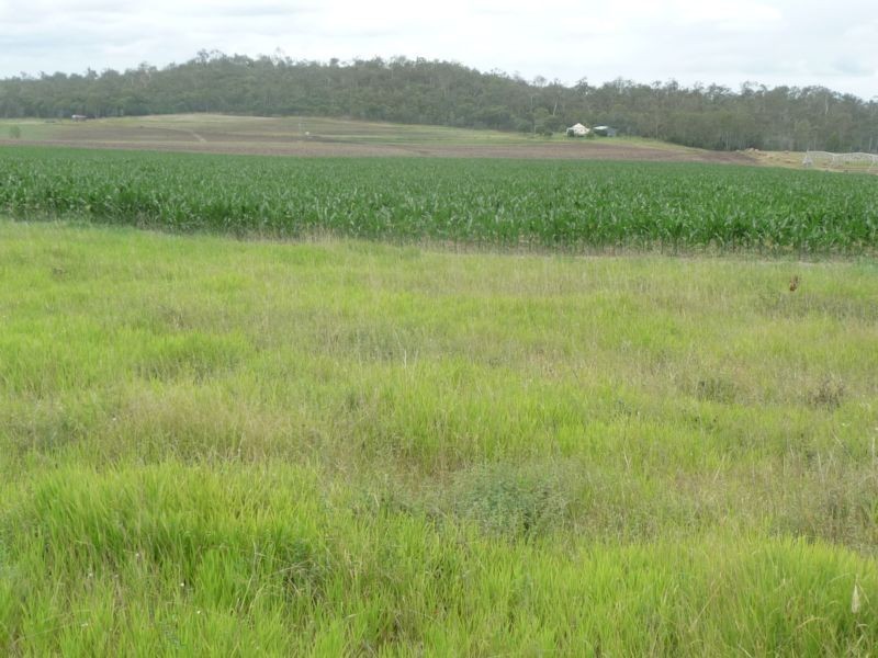 Lot 1 & 2,  Aplins Road, Wallaville QLD 4671