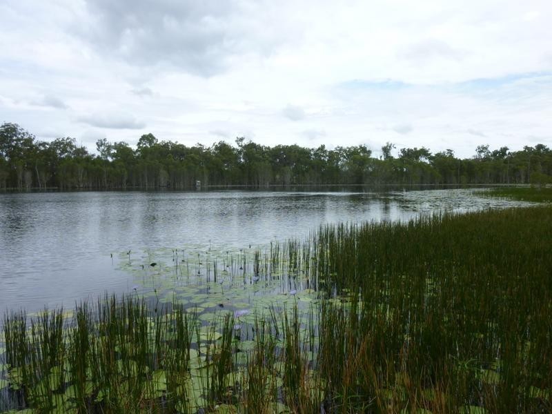3572 CHILDERS ROAD, Gregory River QLD 4660