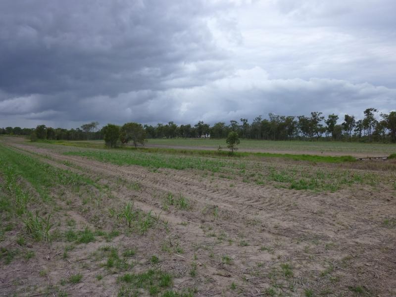 3572 CHILDERS ROAD, Gregory River QLD 4660