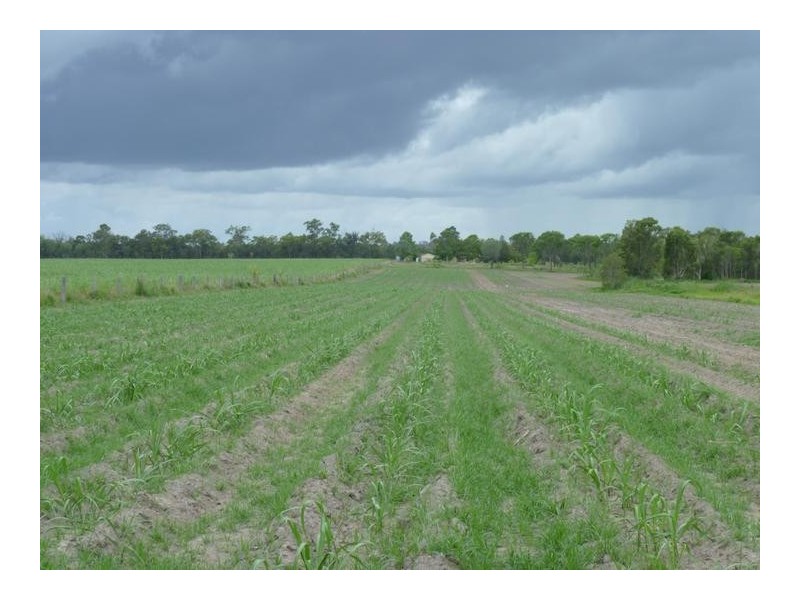3572 CHILDERS ROAD, Gregory River QLD 4660