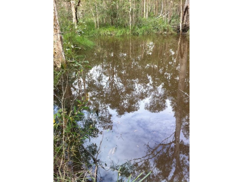 Lot 1,  Bruce Highway (Via Childers), Cherwell QLD 4660