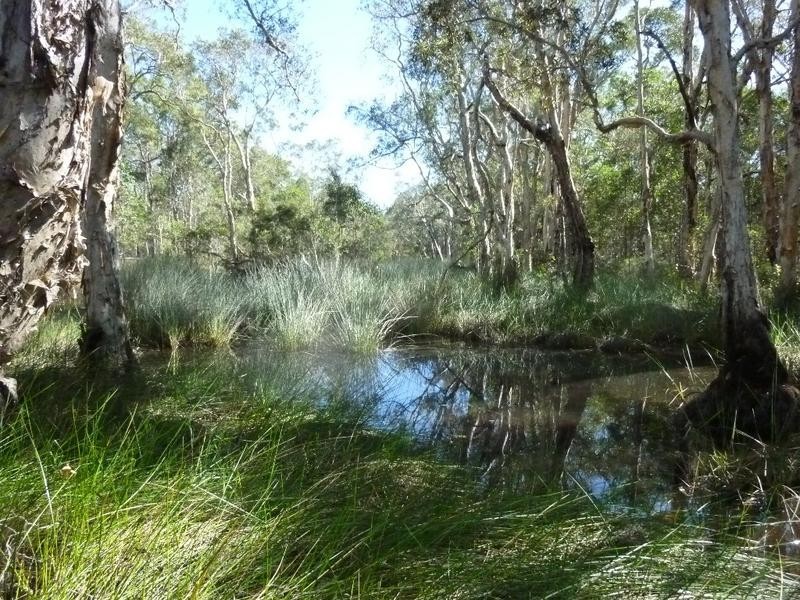 Lot 1,  Bruce Highway (Via Childers), Cherwell QLD 4660