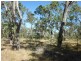 Lot 1,  Bruce Highway (Via Childers), Cherwell QLD 4660