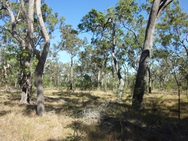 Lot 1,  Bruce Highway (Via Childers), Cherwell QLD 4660