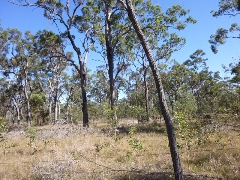 Lot 1,  Bruce Highway (Via Childers), Cherwell QLD 4660
