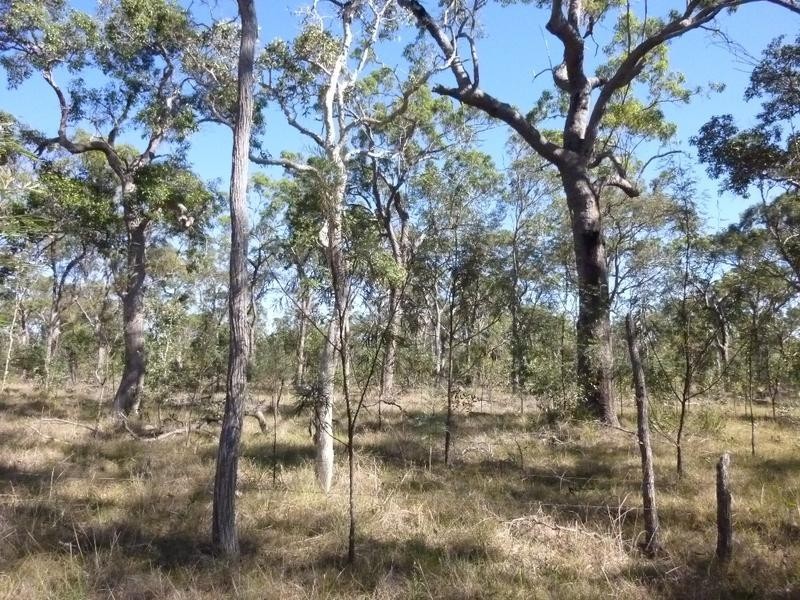Lot 1,  Bruce Highway (Via Childers), Cherwell QLD 4660