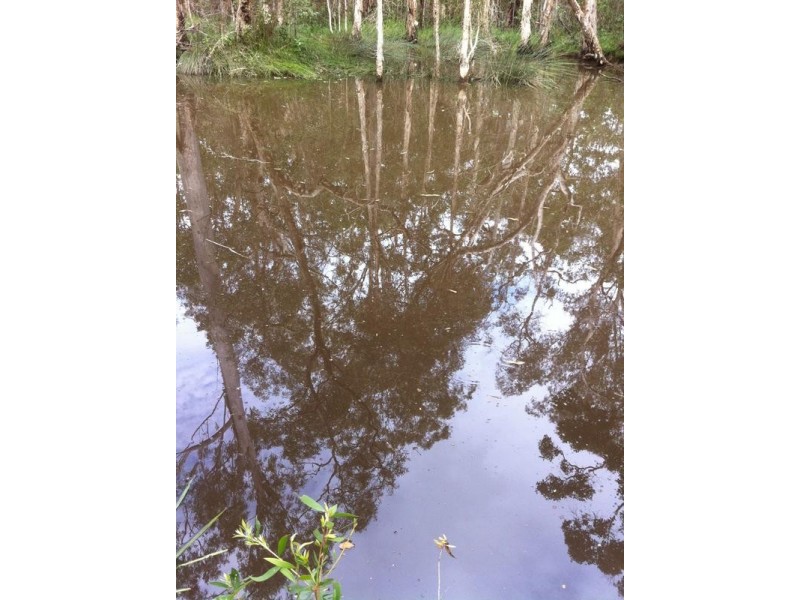 Lot 1,  Bruce Highway (Via Childers), Cherwell QLD 4660