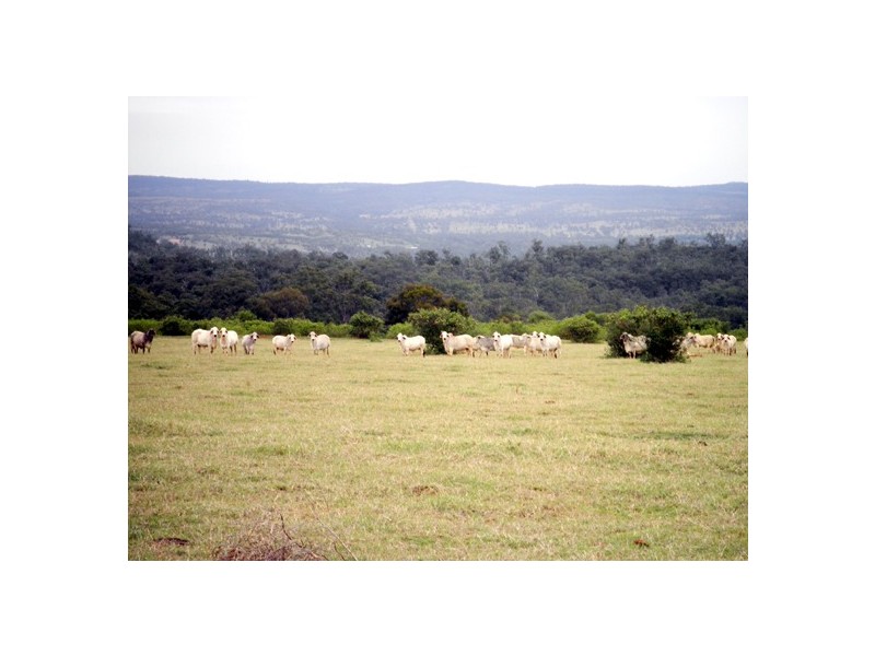 474 Darlingtons Road (via Gayndah), Binjour QLD 4625