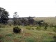 474 Darlingtons Road (via Gayndah), Binjour QLD 4625