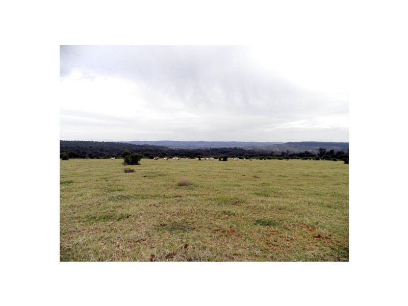 474 Darlingtons Road (via Gayndah), Binjour QLD 4625