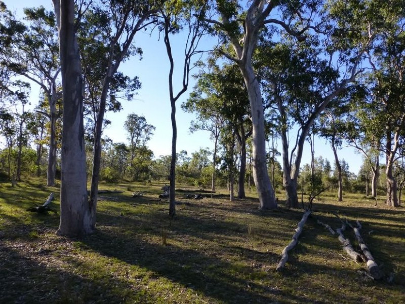 332 Pioneer Road, Buxton QLD 4660