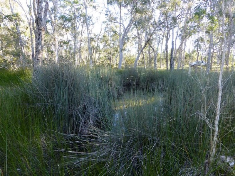 332 Pioneer Road, Buxton QLD 4660