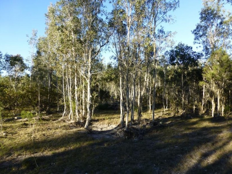 332 Pioneer Road, Buxton QLD 4660