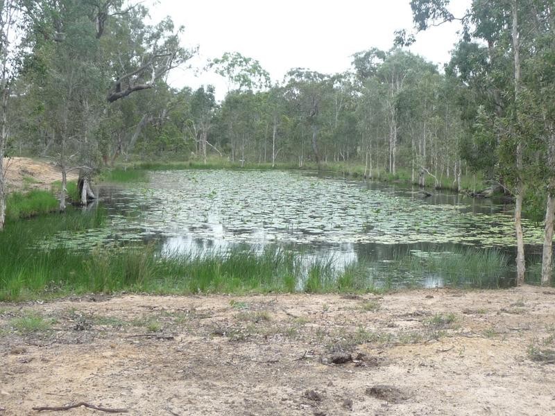 1473 Buxton Road, Buxton QLD 4660