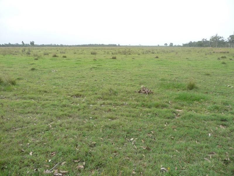 1473 Buxton Road, Buxton QLD 4660