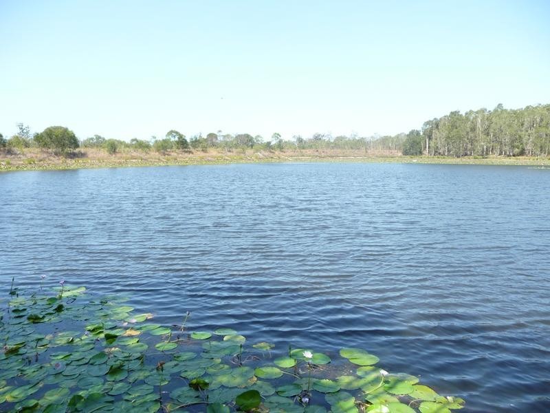 339 GARRYOWEN ROAD, Farnsfield QLD 4660