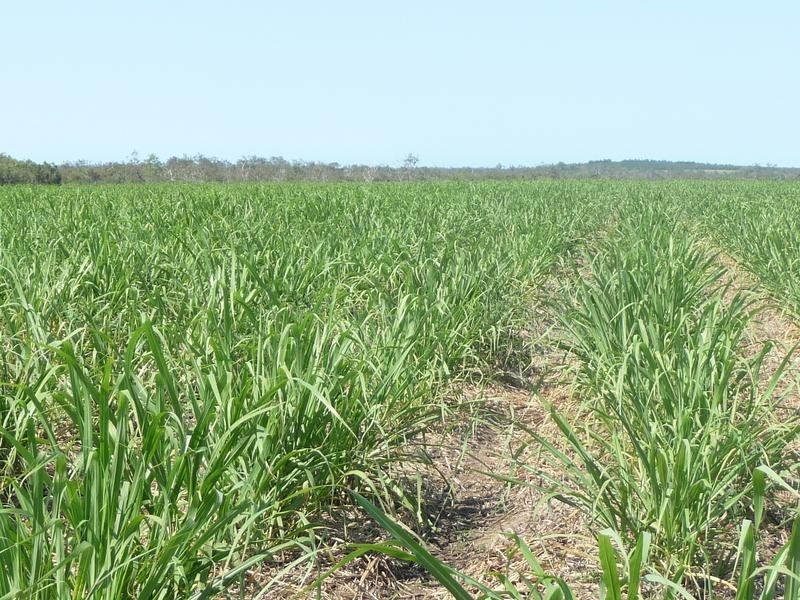 339 GARRYOWEN ROAD, Farnsfield QLD 4660