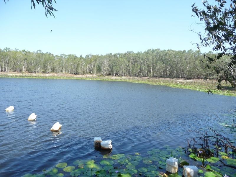 339 GARRYOWEN ROAD, Farnsfield QLD 4660