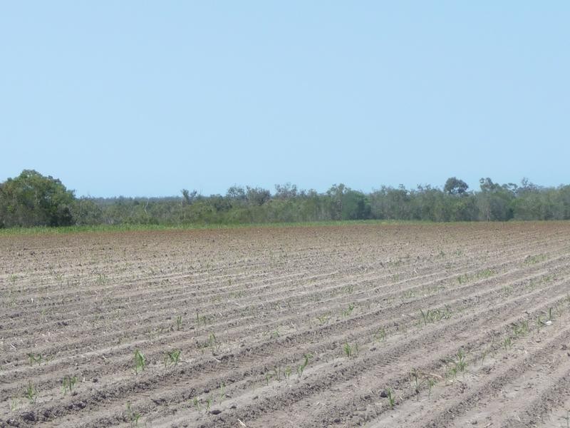 339 GARRYOWEN ROAD, Farnsfield QLD 4660