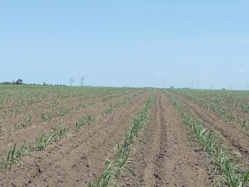 339 GARRYOWEN ROAD, Farnsfield QLD 4660