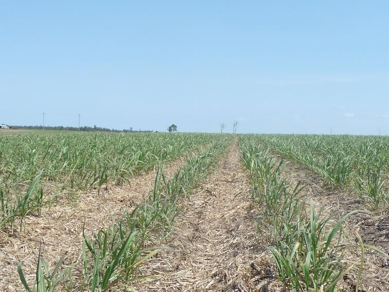 339 GARRYOWEN ROAD, Farnsfield QLD 4660