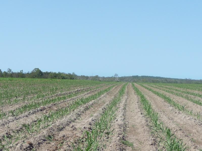 339 GARRYOWEN ROAD, Farnsfield QLD 4660