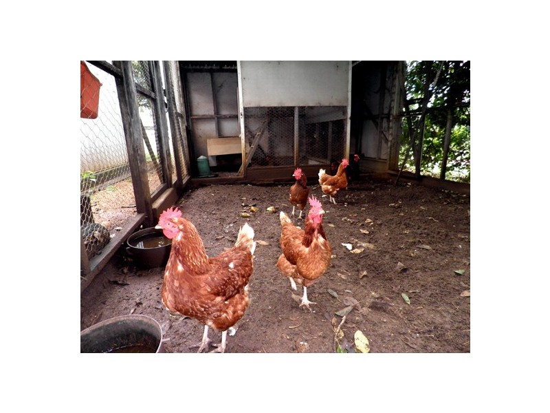 82 Barrow, Gayndah QLD 4625