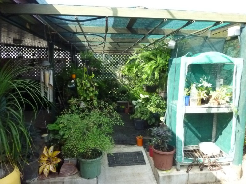 32 WALSH STREET, Biggenden QLD 4621